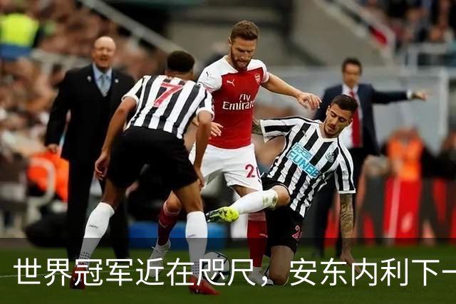 世界冠军近在咫尺，安东内利下一站只要拿到第9即可提前加冕