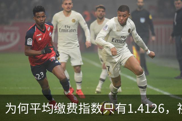 为何平均缴费指数只有1.4126，视同缴费指数却高达2.9753？