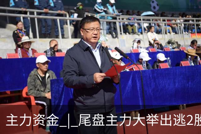 主力资金 | 尾盘主力大举出逃2股