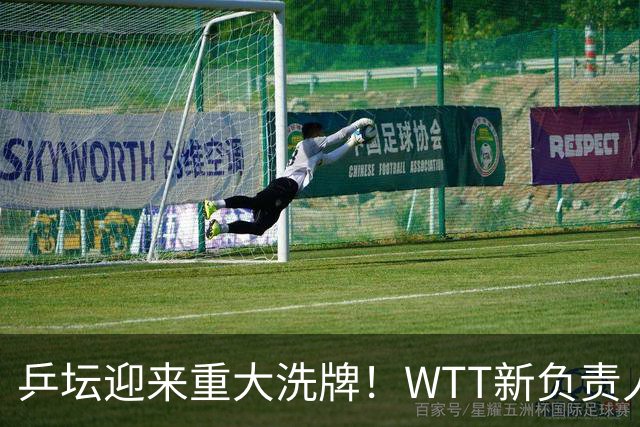 乒坛迎来重大洗牌！WTT新负责人正式上任，刘国梁回归再添悬念