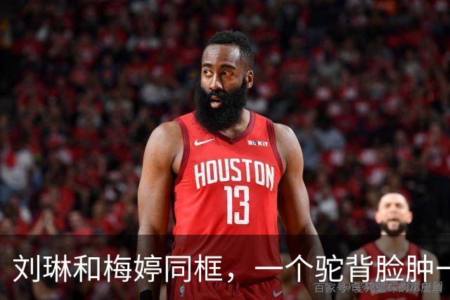 刘琳和梅婷同框，一个驼背脸肿一个苗条好嫩，皮相骨相区别明显