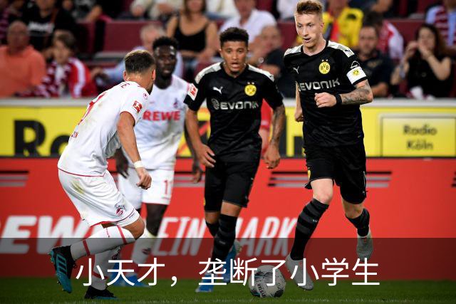 小天才，垄断了小学生