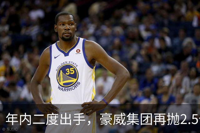 年内二度出手，豪威集团再抛2.5亿至5亿元回购计划 上次回购股份最终由激励转注销