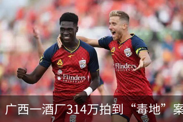 广西一酒厂314万拍到“毒地”案将开庭，投资人：投资2000多万打水漂，希望撤销法拍，相关责任方赔偿损失