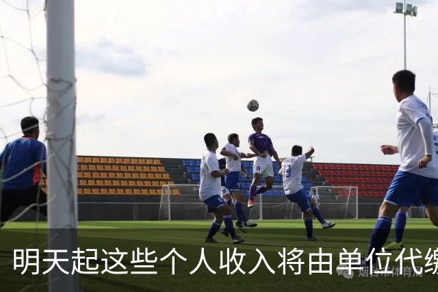 明天起这些个人收入将由单位代缴增值税