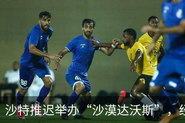 沙特推迟举办“沙漠达沃斯”，经济多元化计划遭胡塞武装打击