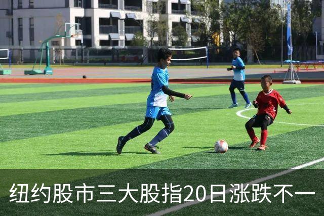 纽约股市三大股指20日涨跌不一