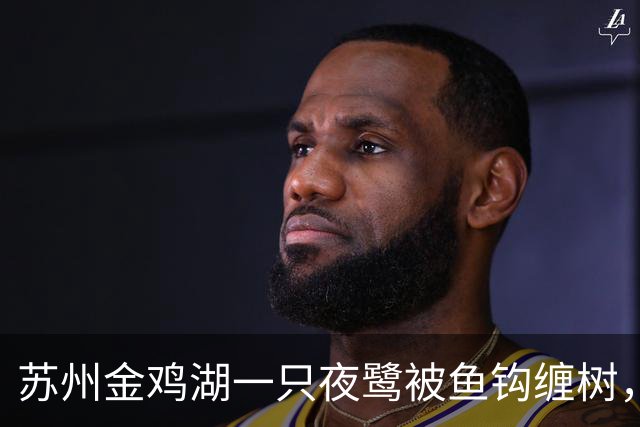 苏州金鸡湖一只夜鹭被鱼钩缠树，市民爬树救下，“有6个鱼钩，脚和翅膀全被钩住”，公园称此处并非垂钓点