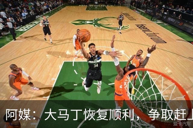 阿媒：大马丁恢复顺利，争取赶上11月阿根廷队比赛