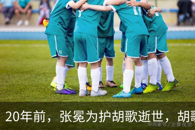 20年前，张冕为护胡歌逝世，胡歌许诺赡养其父母，如今他做到了吗